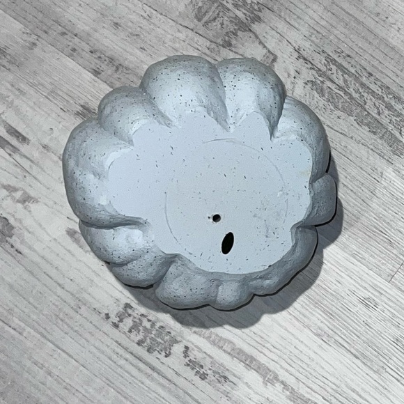 Gray Pumpkin - Picture 3 of 3